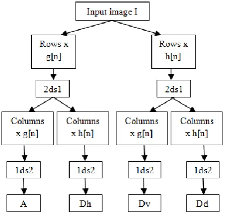 Fig 2: Retinal fundus image 