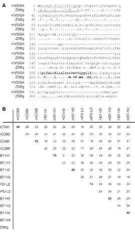 Figure 1Sequence and homology of VSIG4. (