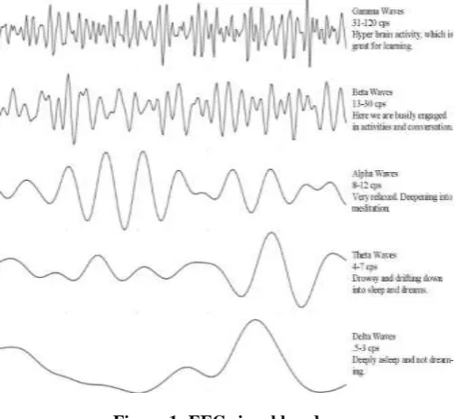 Figure 1: EEG signal bands 