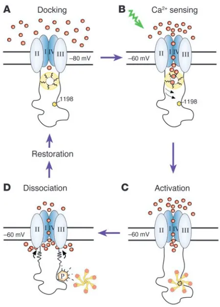 Figure 7Four-stage