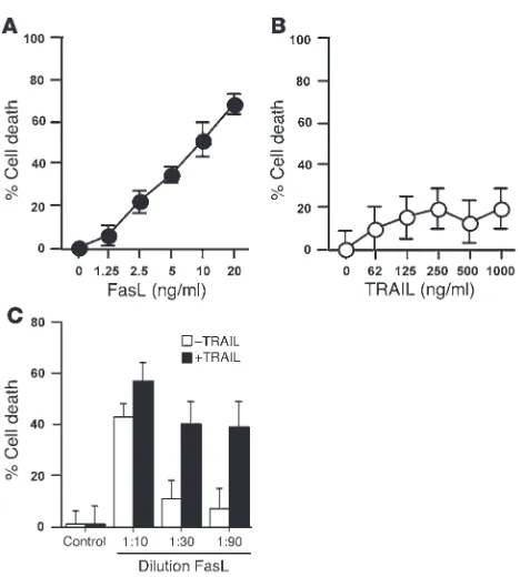 Figure 1corroborated by Western blot analysis. Partial processing of the 32-kDa procaspase 3 to the larger 18-kDa caspase subunit was TRAIL amplifies FasL-induced hepatocyte apoptosis in vitro