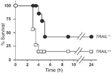 Figure 3TRAIL accelerates anti-Fas–induced lethality. Survival curve of anti-Fas–treated wild-type (TRAIL+/+) and TRAIL-deficient (TRAIL–/–) mice over 24 hours.One representative experiment out of 2 is shown