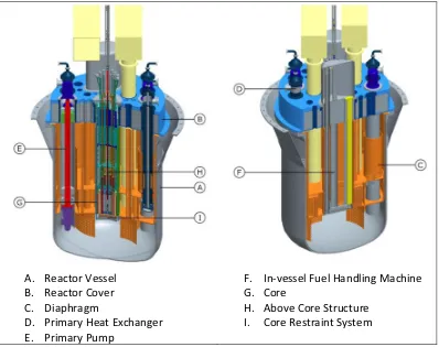 Figure 1. Section of the MYRRHA-FASTEF reactor.