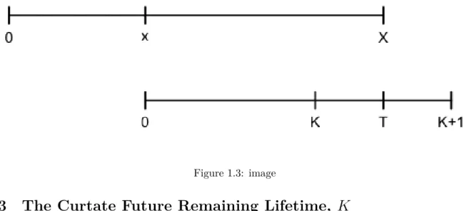 Figure 1.3: image