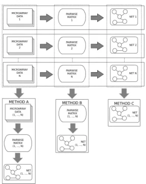 Figure 1: Meta-network strategies: assembling datasets, pairwise matrices or networks