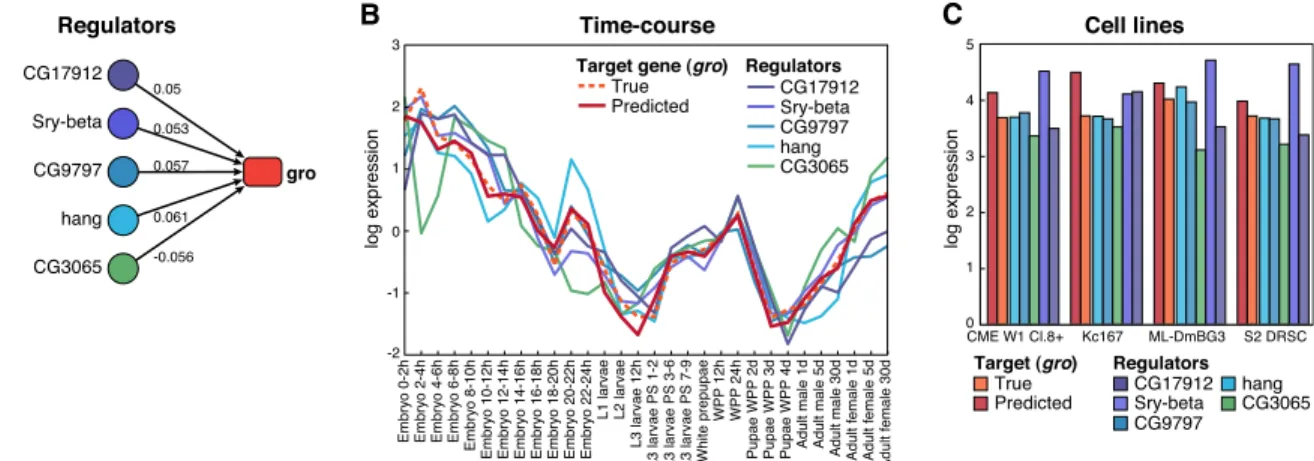 Figure 6. Expression prediction of the gro target gene. (A) The top five regulators of the gro gene and the magnitude of the regression coefficients.