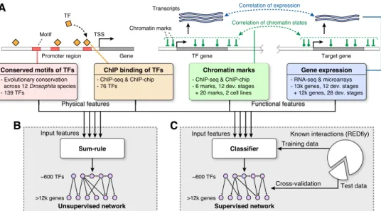 Table 1. Number of genes, conditions, and type of measurements for expression and chromatin modification data sets