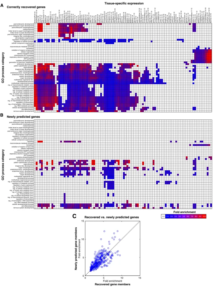 Figure 5. Tissue-specific expression of correctly recovered (known) versus newly predicted genes of different GO process categories