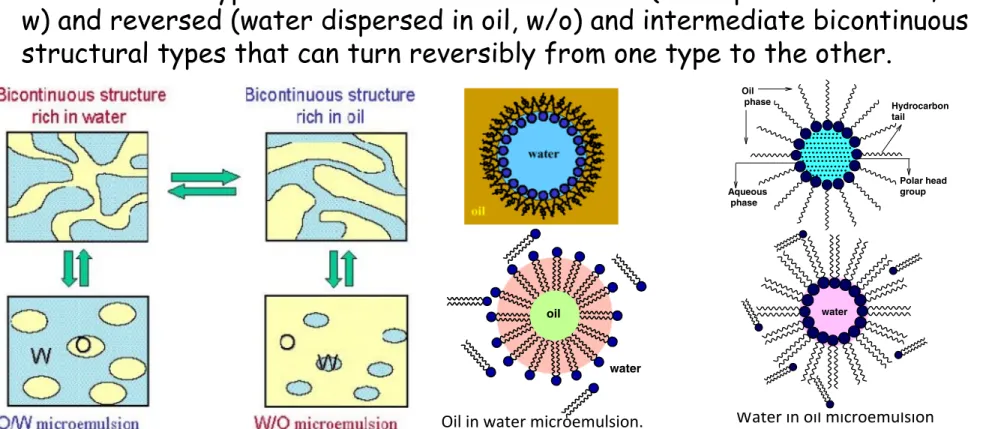 Figure 1 A typical structure of reverse micelle.