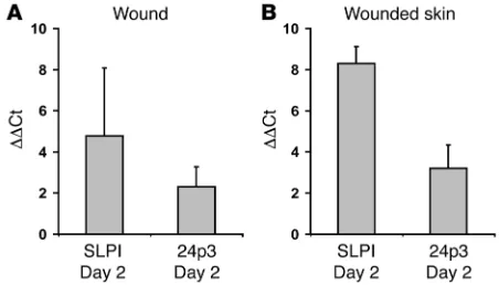 Figure 3Wound experiments in mice. (