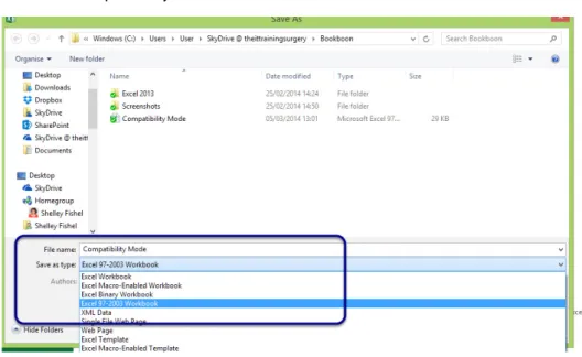 Figure 55 – Change the Save as type to save in Compatibility Mode