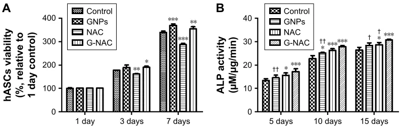 Figure 4 evaluation of viability (**group.Abbreviations:A) and alP activity (B) of hascs at 20 µM gNPs, 2.2 µM Nac, and 20 µM g-Nac