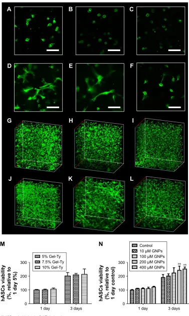 Figure 7 Viability of hascs embedded in the gel-Ty hydrogels.Notes: The clsM images of 5% (A, D, G, J), 7.5% (B, E, H, K), and 10% gel-Ty hydrogel (C, F, I, L) after culture during 1 (A–C, G–I) and 3 days (D–F, J–L)