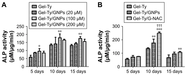 Figure 8 alP activity of hascs on the gel-Ty/gNPs (A) and gel-Ty/g-Nac (B).Note: results are means ± sD of triplicate experiments: *P,0.05 and **P,0.01 represent significant difference compared with control group, ***P,0.001 represent significant difference compared with control group, and †††P,0.001 represent significant difference compared with Gel-Ty/GNPs group.Abbreviations: gel-Ty/gNPs, gelatin–tyramine/gold nanoparticles; gel-Ty/g-Nac, gelatin–tyramine/gold nanoparticles-N-acetyl cysteine; hascs, human-derived stem cells.