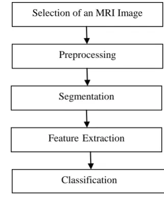 Fig 1: Phases involved in Brain Tumor Detection [1] 