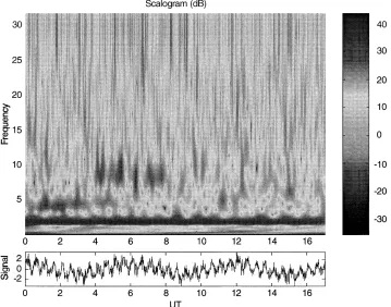 Fig. 6. Scalogram of the synthetic
