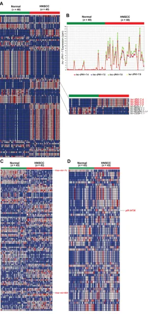 Figure 1: Heatmaps of significantly differentially expressed non-coding RNAs in HNSCC