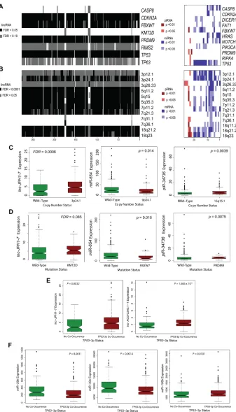 Figure 3: Association of prognostic ncRNAs with somatic mutations and copy number variations in HNSCCs