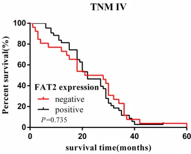 Figure 4. Kaplan-Meier curves with univariate analy-ses (log-rank) for patients with low FAT2 expression versus high FAT2 expression tumors in stage III