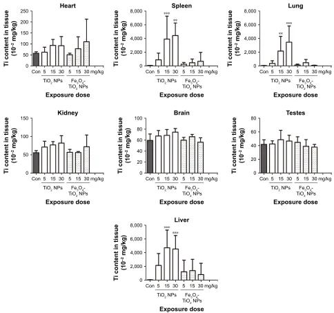 Figure 3 Ti content in tissue of rats after treatment with Fe3O4-TiO2 NPs and TiO2 NPs.Note: **P0.01, ***P0.001 compared with control.Abbreviations: NPs, nanoparticles; con, control.