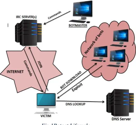 Fig 1Botnet Lifecycle 