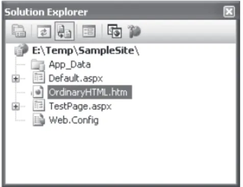 Figure 4-4. The Solution Explorer