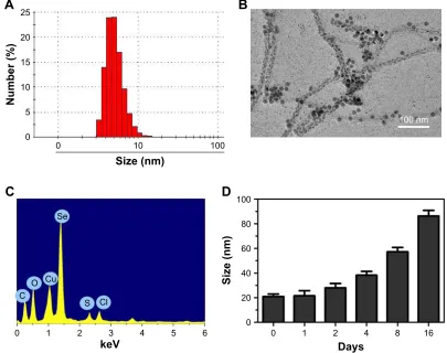 Figure 1 characterization of rgDfc-se@DOX.Notes: (A) Particle size distribution of rgDfc-se@DOX