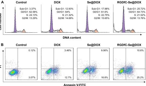 Figure 6 (A) The scratching width of A549 cells was observed at 12 h after the treatment with DOX, Se@DOX, and RGDfC-Se@DOX