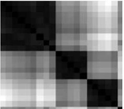 Fig 4: Reordered Dissimilarity image (from [5]) 