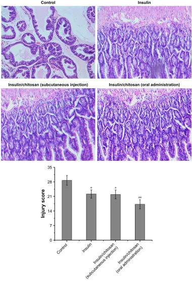 Figure 3 histopathological evaluation.Notes: histopathological evaluation of mesentery injury and quantitative injury scores