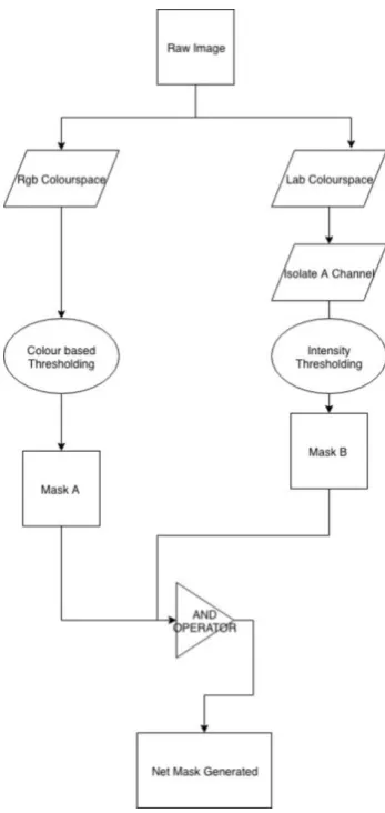 Fig. 1 Flowchart showing the Gill Segmentation process 