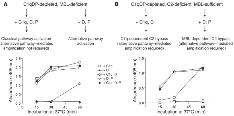 Figure 3Complement requirements for C3 deposition induced by CO antigen (1,000 ng/well)