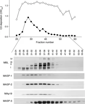 Figure 7Influence of fractionated MBL/MASP complexes on C3 deposition induced by CO antigen in the serum of C2D:21