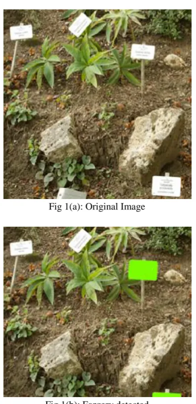 Fig 1(b): Forgery detected 
