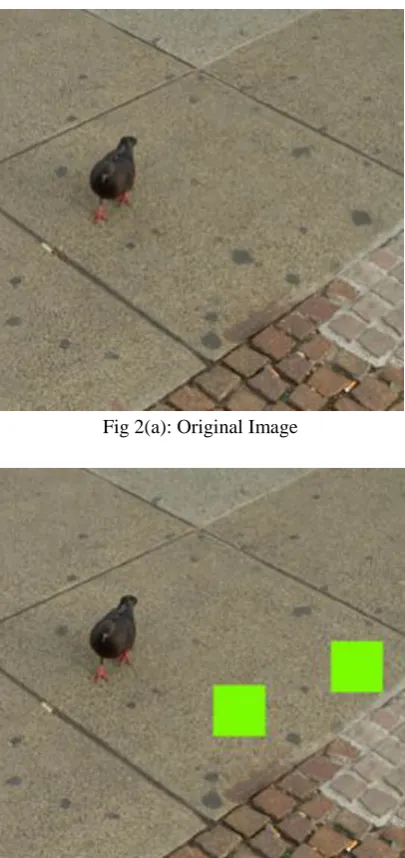 Fig 2(a): Original Image 