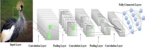 Fig. 4. CNN architecture with layered connection 