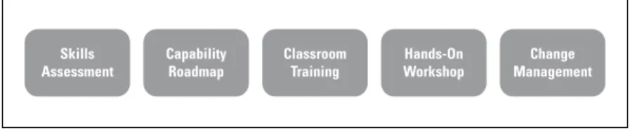 Figure 7.1: Capability Development Framework