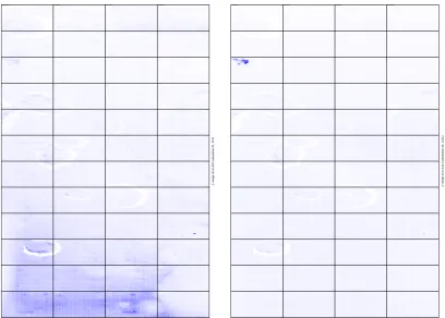 Figure 2.1: Image of the red (left) and green (right) background of a cDNA microarrayas determined by an image analysis software