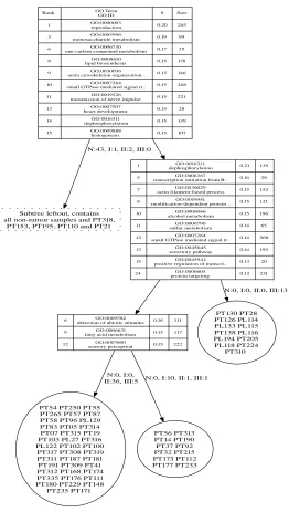Figure 3.1: An unsupervised decision tree of the Lapointe prostate cancer dataset com-puted using the model comparison scoring method