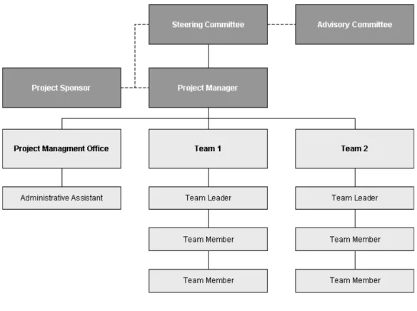 Figure 2-1: Internal Project Organisation