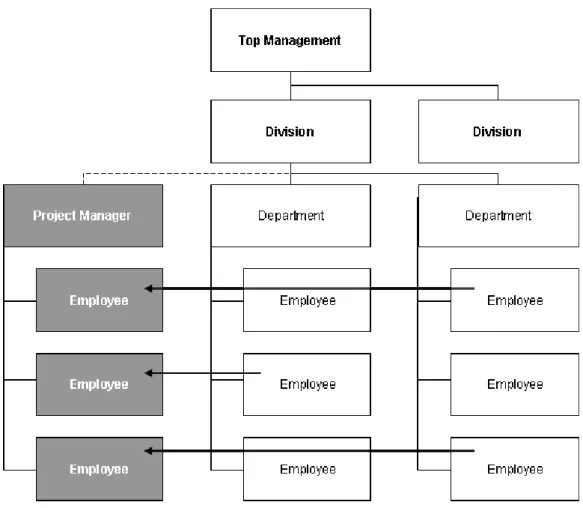 Figure 2-3: Pure Project Organisation