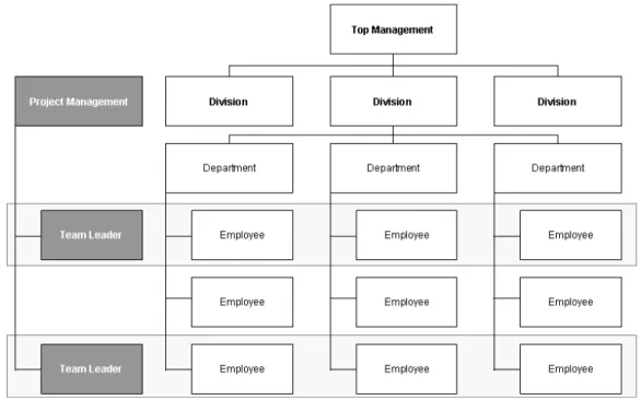 Figure 2-4: Matrix Organisation