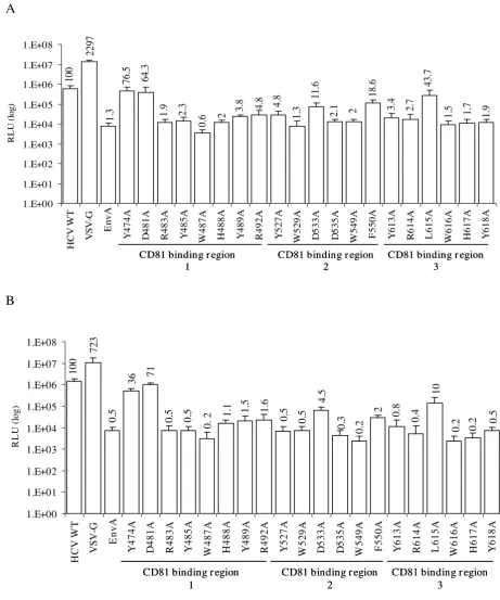 Figure 2Alanine substitutions within putative CD81 binding regions dramatically affect HCVpp entryAlanine substitutions within putative CD81 binding regions dramatically affect HCVpp entry