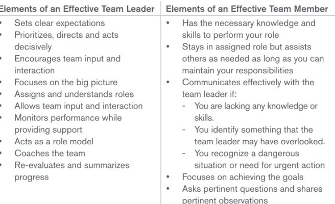 Table 3-1 Elements of an Effective Team