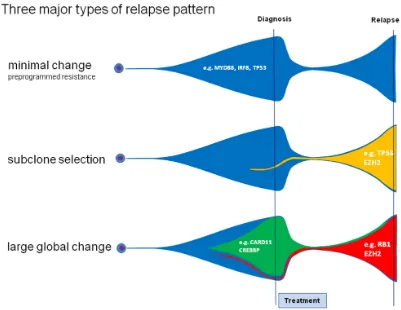 Figure 5: Three different relapse patterns in DLBCL. Analyzing patterns of primary and relapsed diseases we observed distinct patterns of relapse