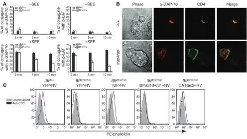 Figure IBPtrap/trap T cells display impaired synapse formation and actin polymerization
