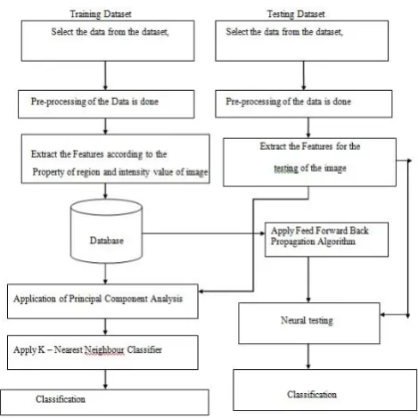 Figure 2:  Flowchart of the Methodology 