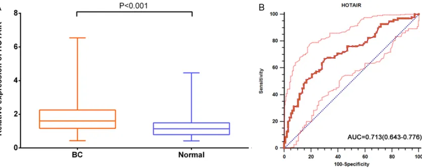 Figure 3. Diagnostic performance of lncRNA HOTAIR in human bladder cancer tissue. A: Relative expression levels of lncRNA HOTAIR in BC tissue and normal tissues