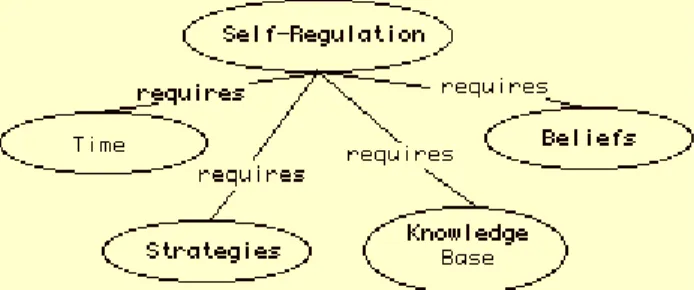 Figure 1. Self-regulation.