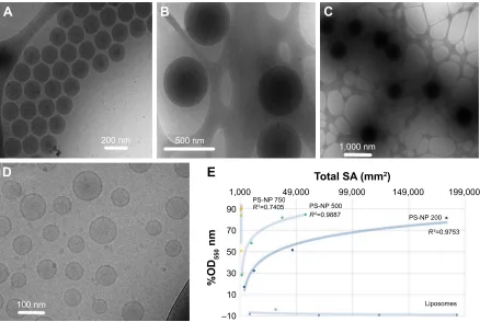 Figure 1 (A) Direct cryo-TeM imaging of polybead Ps-NPs and liposomes.Notes: (A–D) NPs and liposomes of 200, 500, and 750 nm diameter, respectively